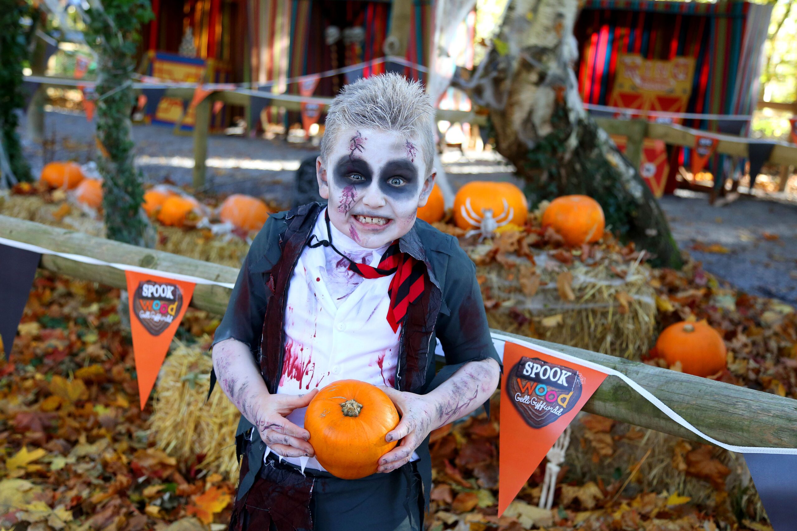 Greenwood Family Park October Scaled